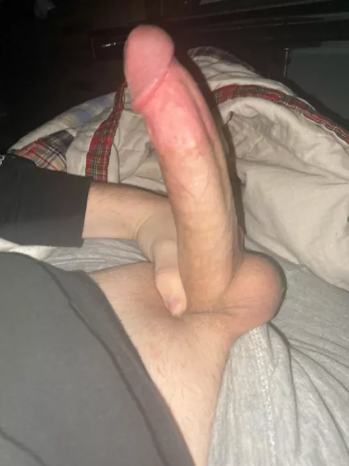 Would you swallow my cock?