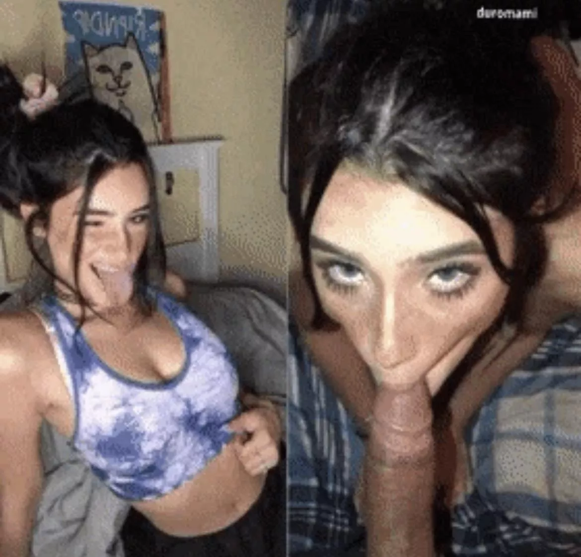 Anyone know the video?