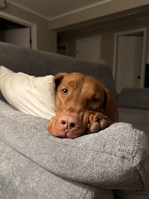 Anyone use discord while they game?