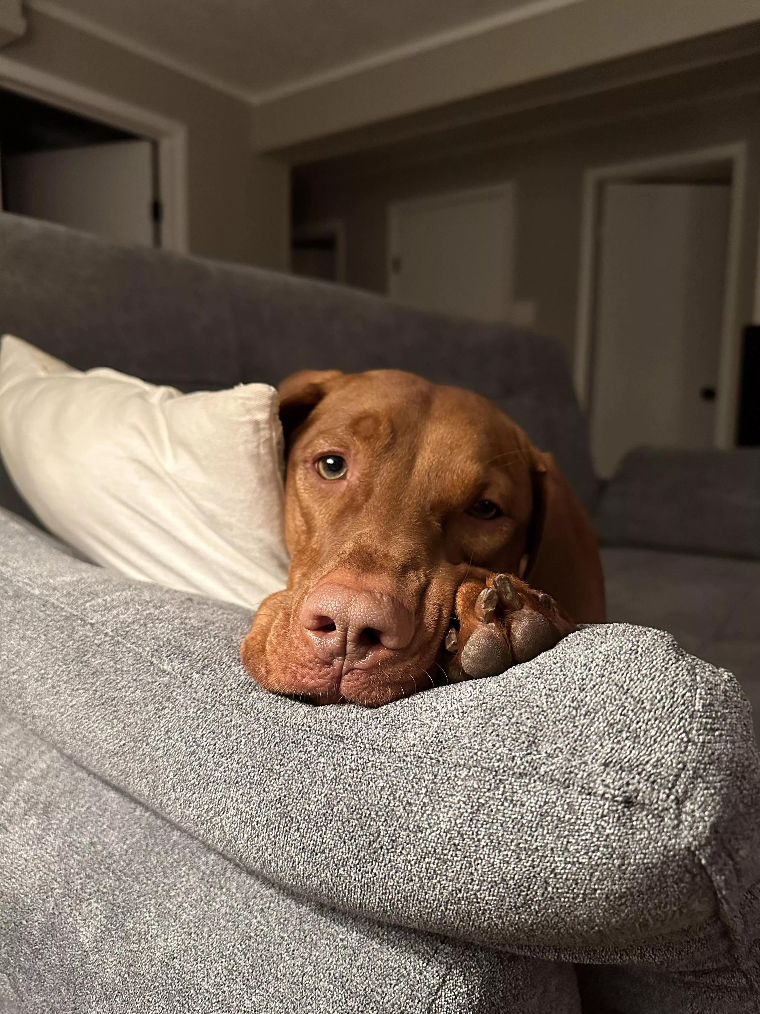 Anyone use discord while they game?