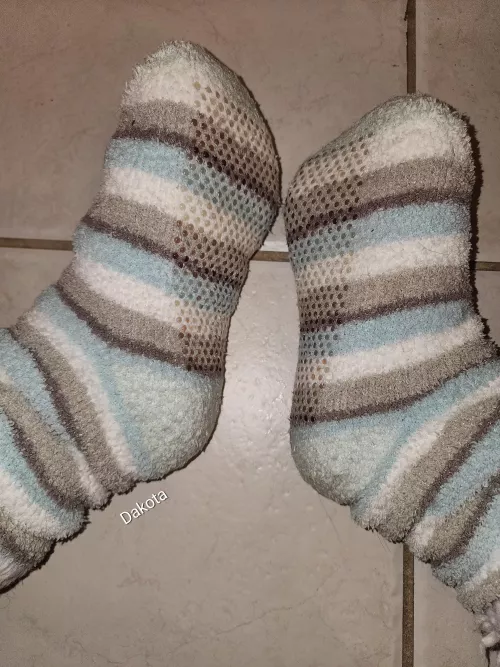Can you come taste my sweaty, vinegary fuzzy socks?