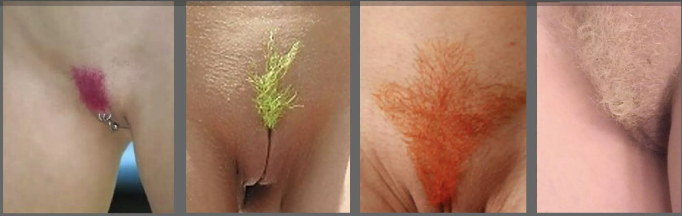 Do you have a favorite colour?