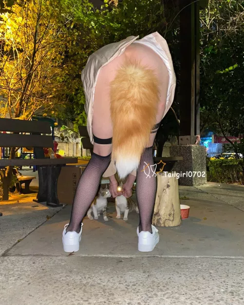 Do you love Tailgirl? Or you like Kitty more!?