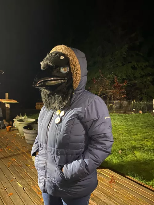 Happy, yet cold fursuit Friday from the PNW 🥶🐦