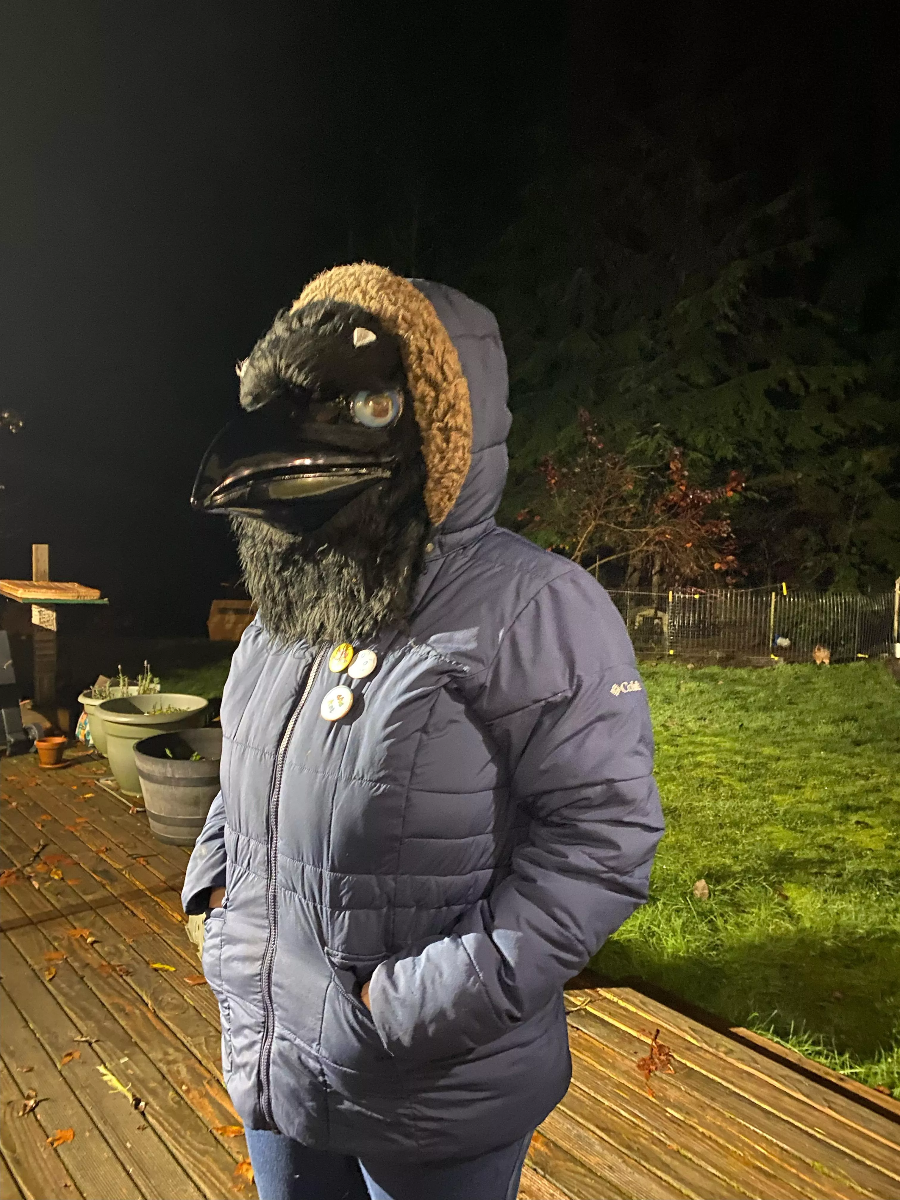 Happy, yet cold fursuit Friday from the PNW 🥶🐦