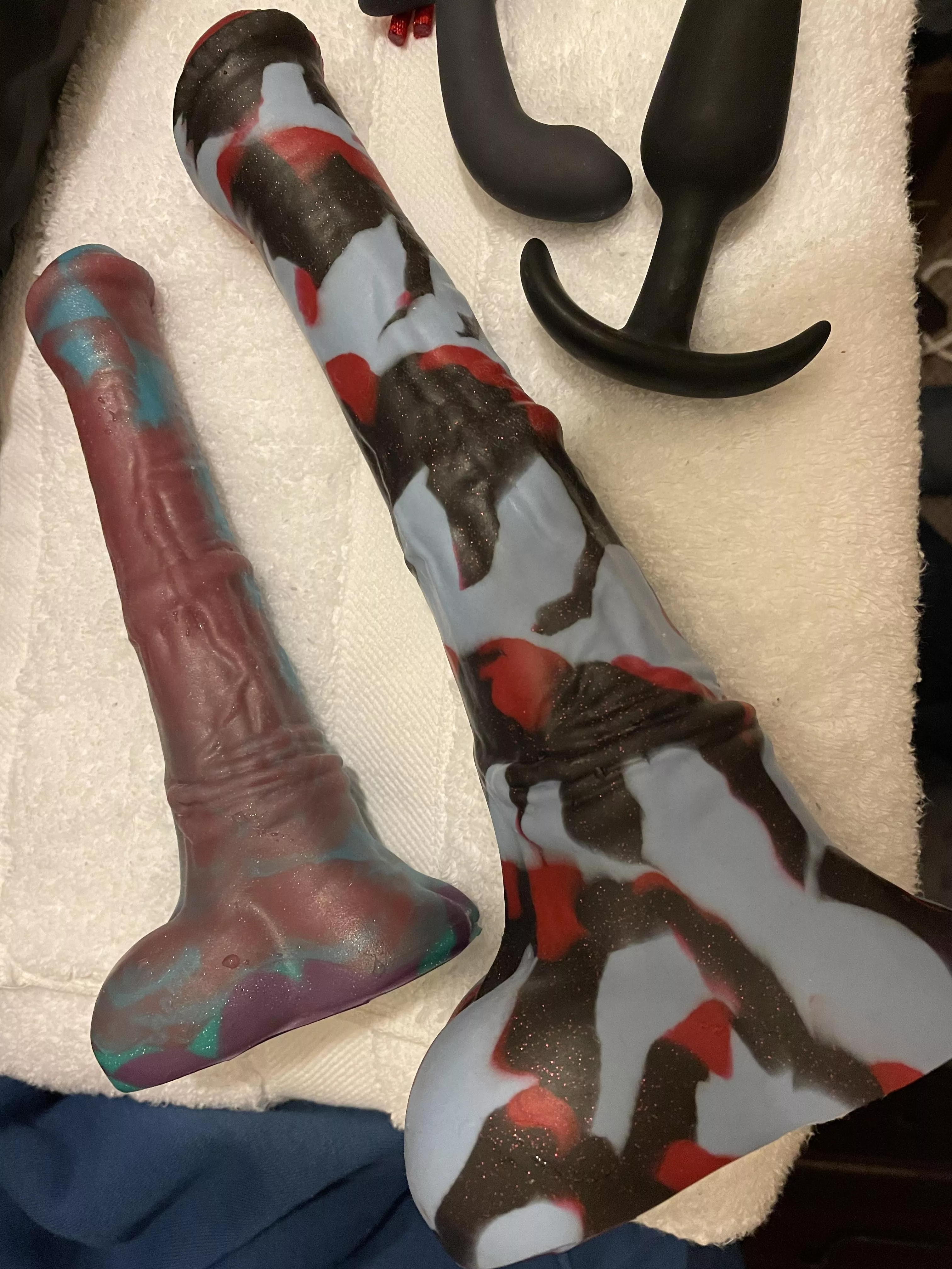 I continue to be a(m)azed by Chance’s size