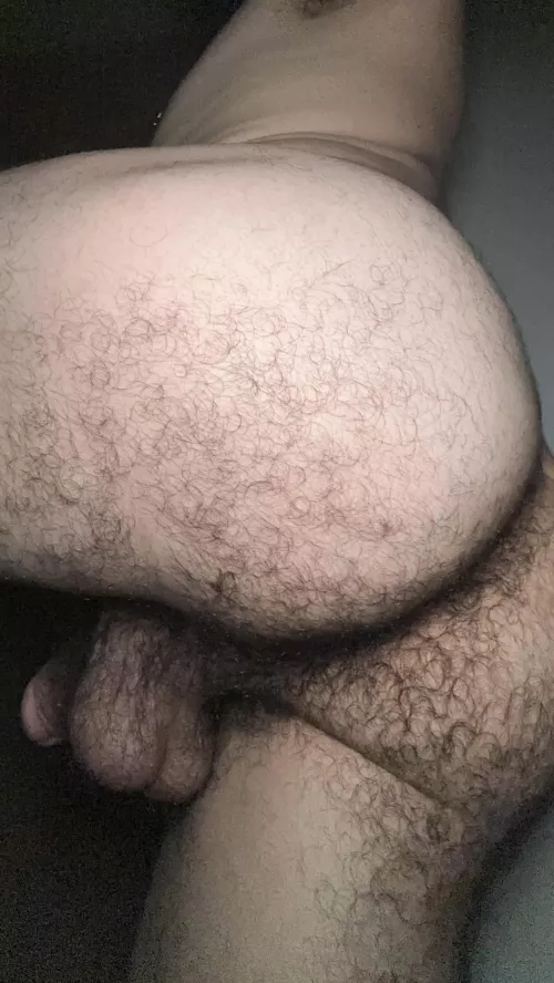Lick my hairy ass bro 😈
