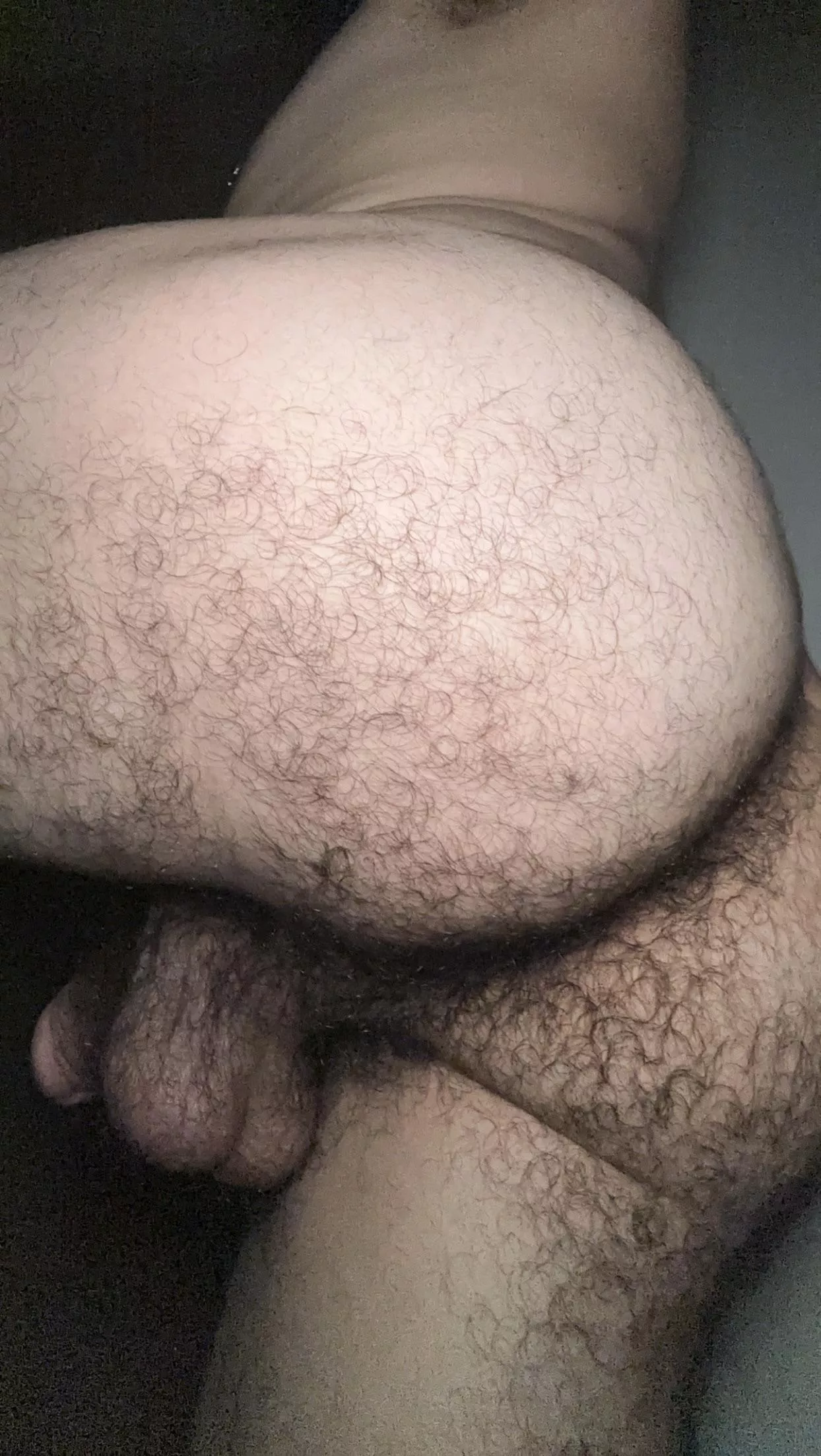 Lick my hairy ass bro 😈