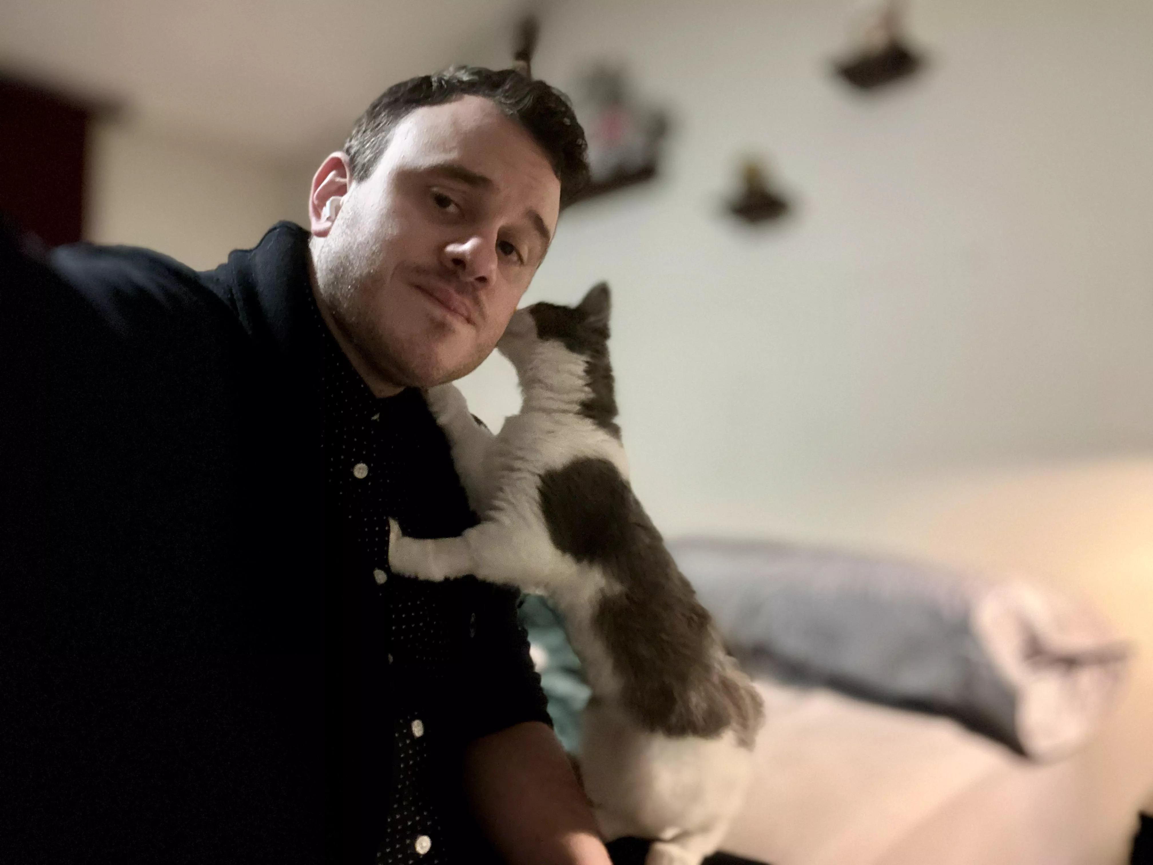 New kitten, who dis?