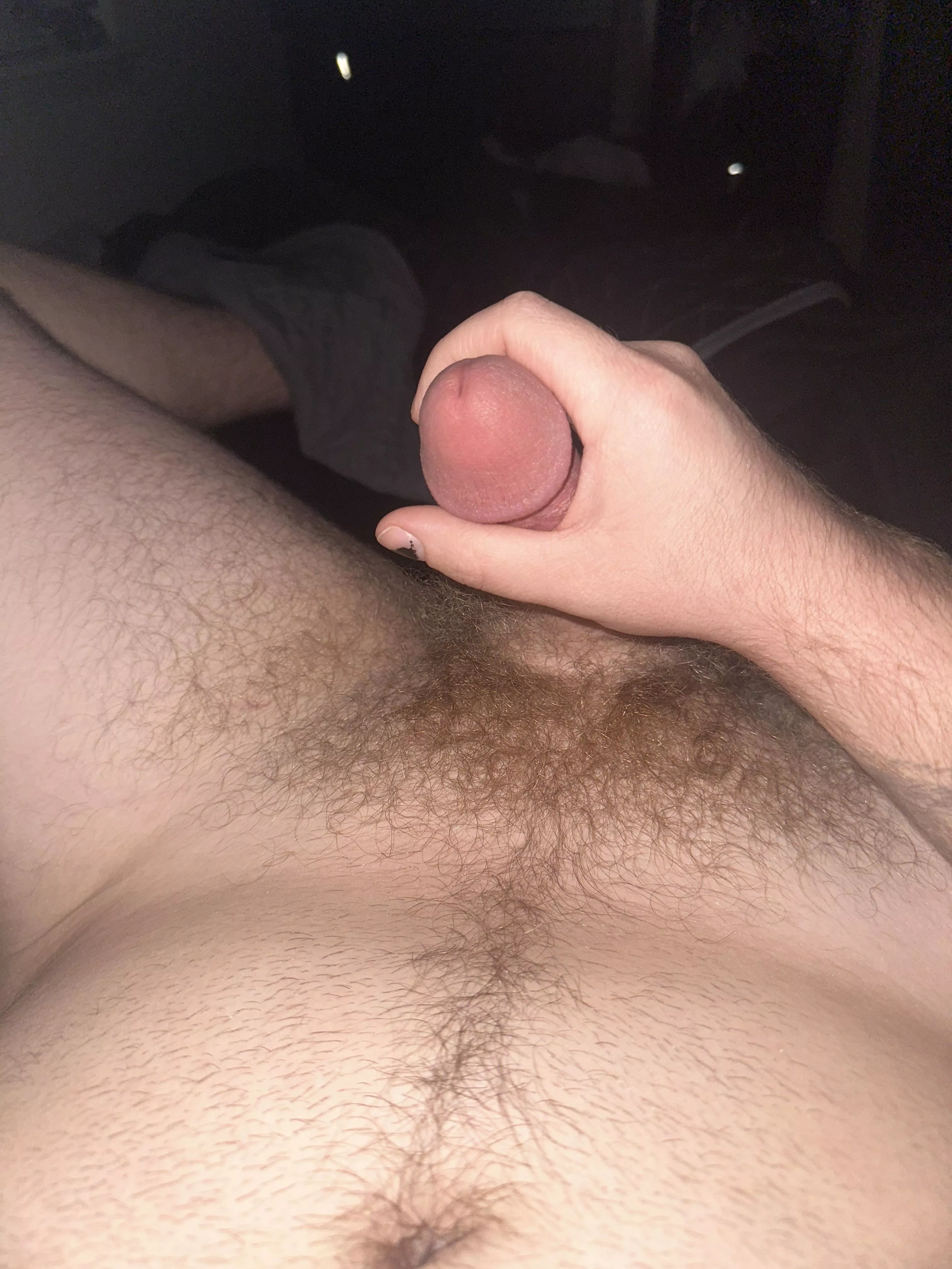 People on here seem to like my bush