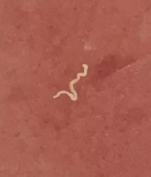 so obsessed with these lmao the way they come out is just perfect