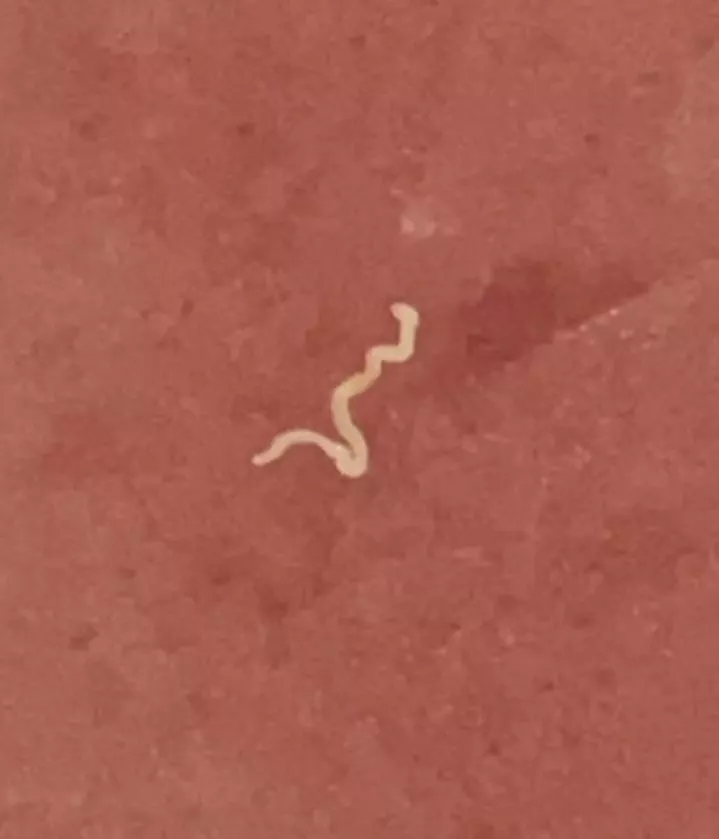 so obsessed with these lmao the way they come out is just perfect