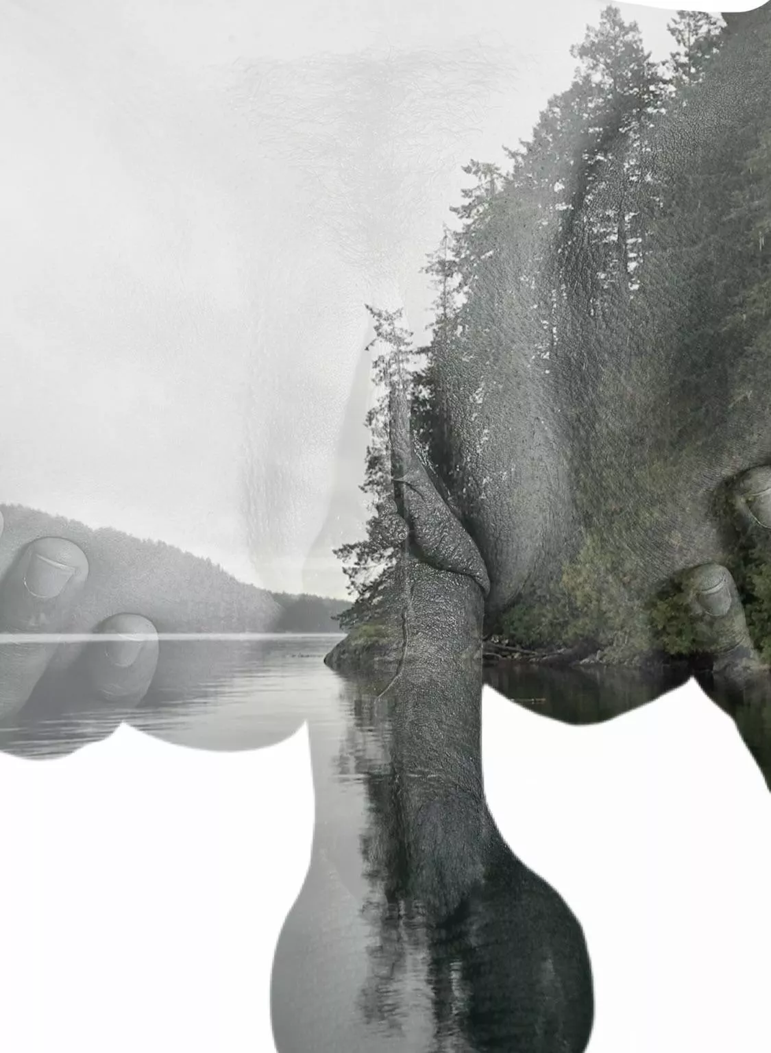 Taking in all of the view