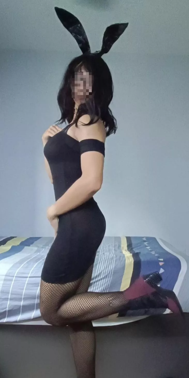 Bunny girl fit check :3