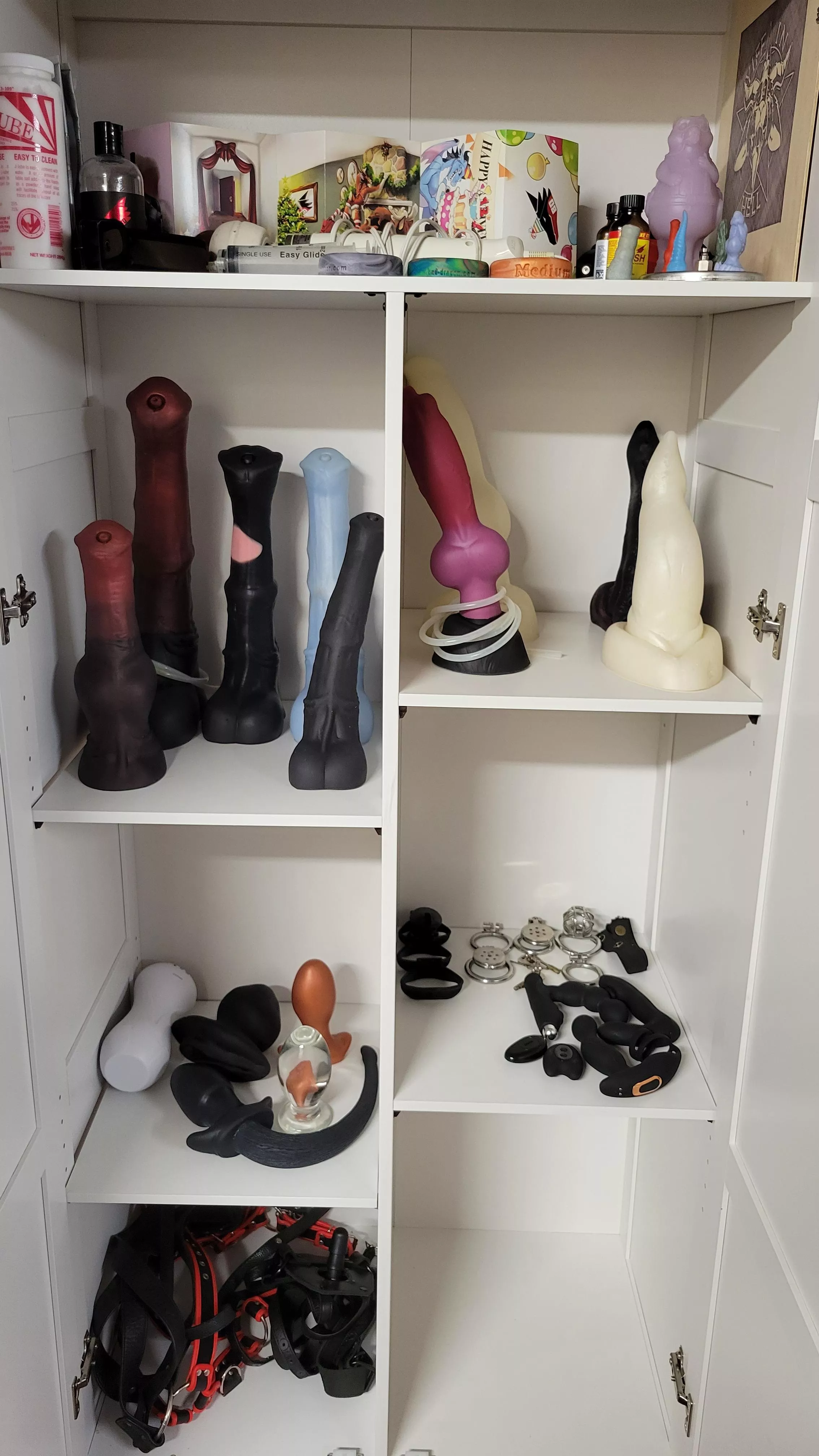 Cabinet of curiosities