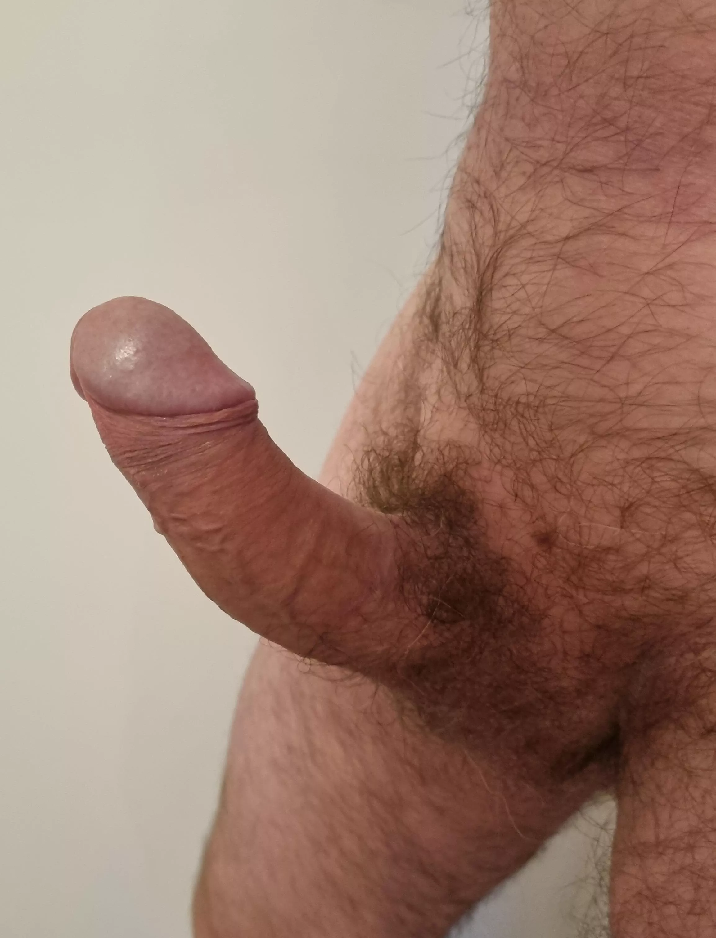 Could You, Would You? (53)