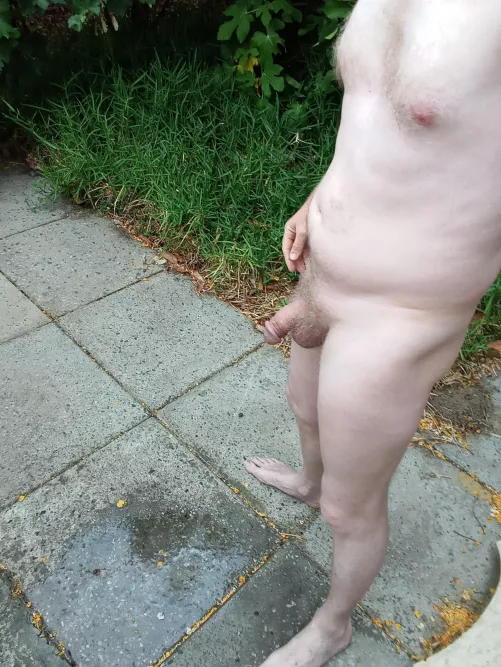 Early morning piss outside.