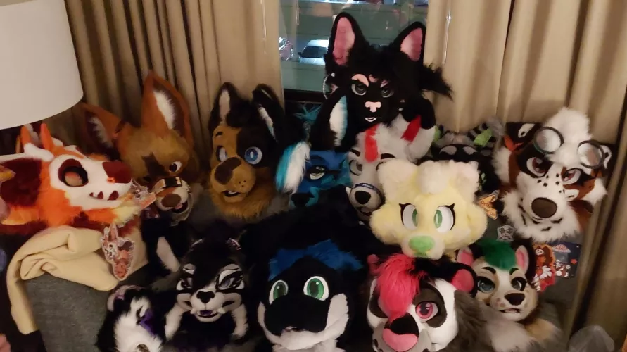 Fur pile at MFF!!!