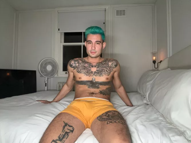 How many times a day would you fuck me?