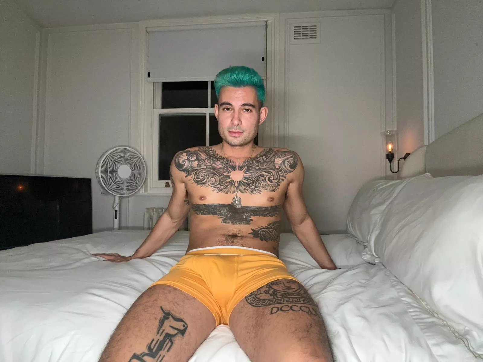 How many times a day would you fuck me?