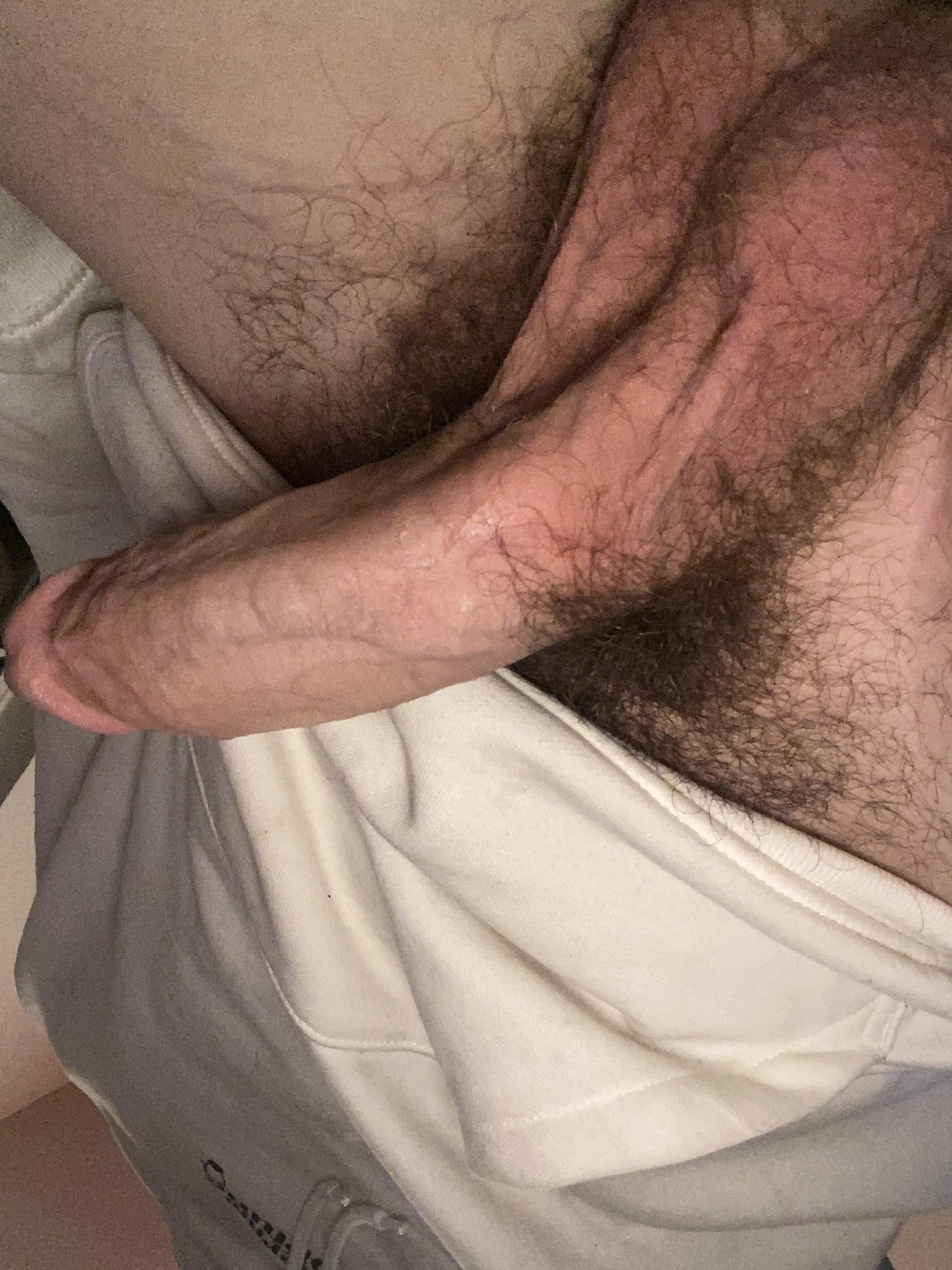 Keep the bush or trim?