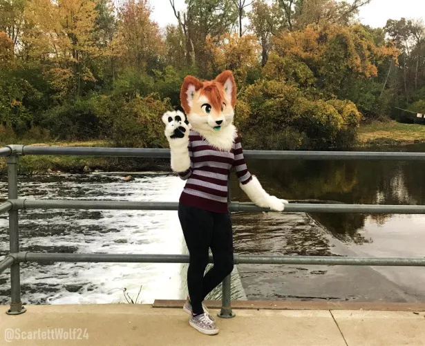 LATE Fursuit Saturday post how scandalous 🐾🐾