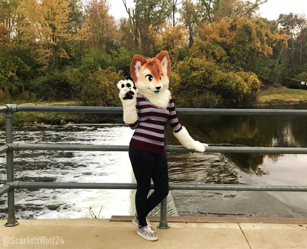 LATE Fursuit Saturday post how scandalous 🐾🐾