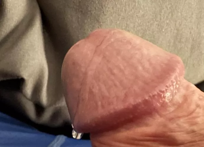 Little drip off the tip