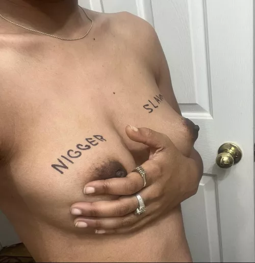 Looking for my master