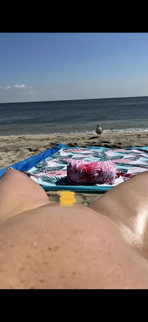 Miss Gunnison summer