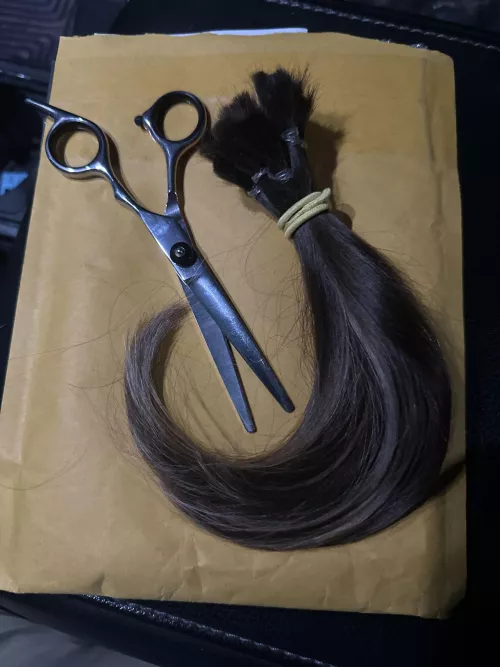 New ponytail addition