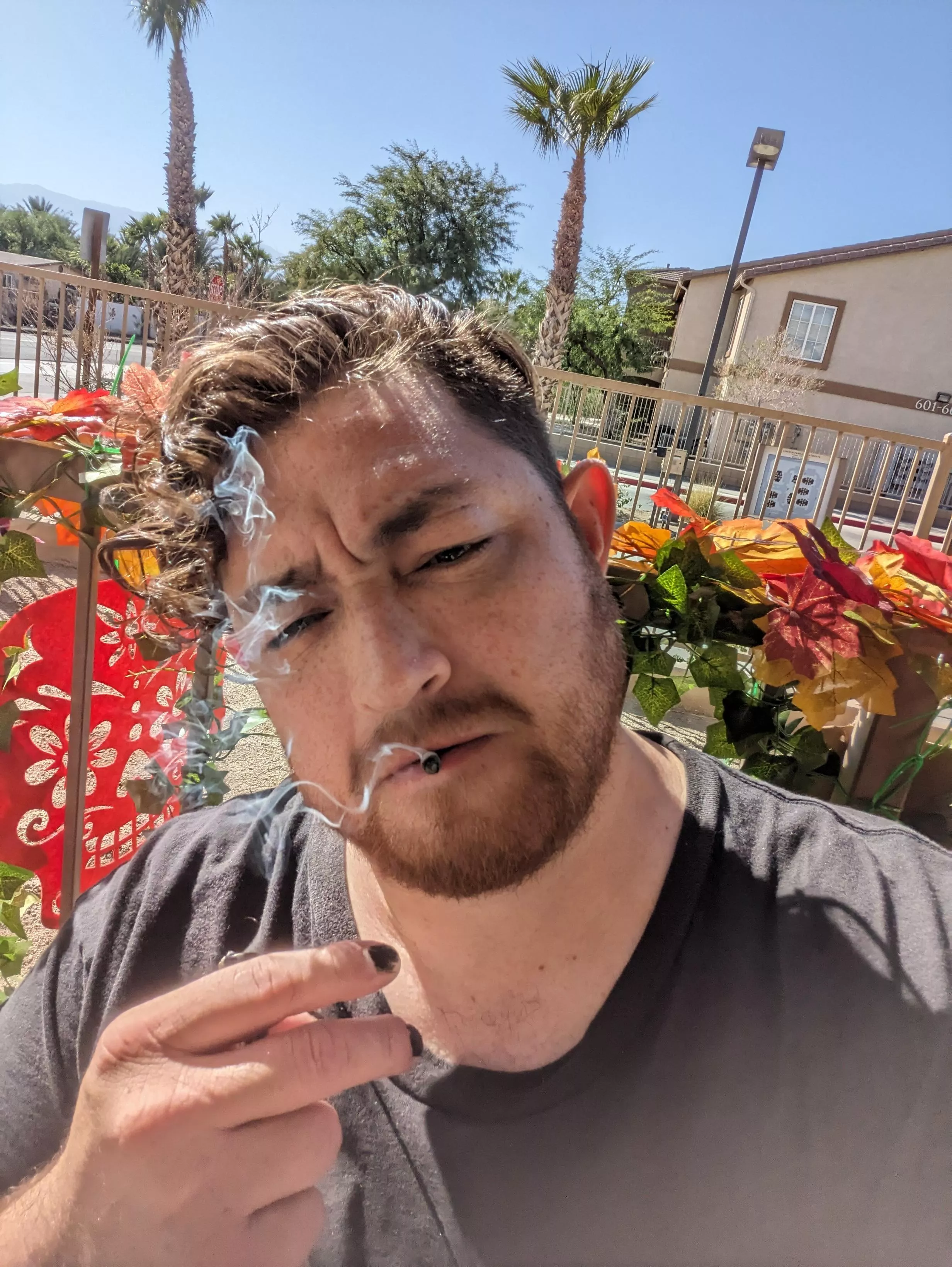 Playing astlibra revision it's pretty awesome dms are open let's chat in a mood to meet new people