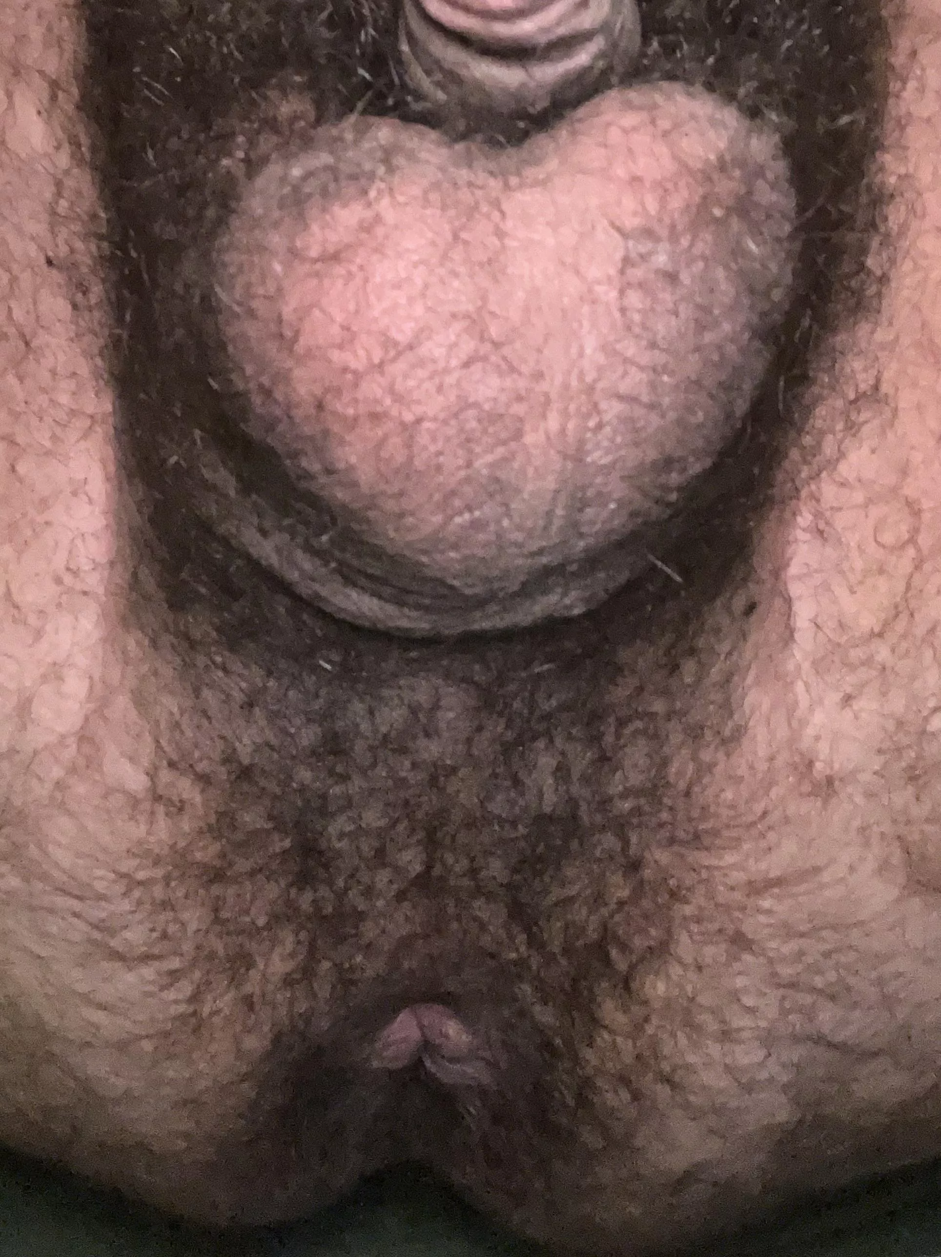 Suck on my heart shaped nuts ❤️