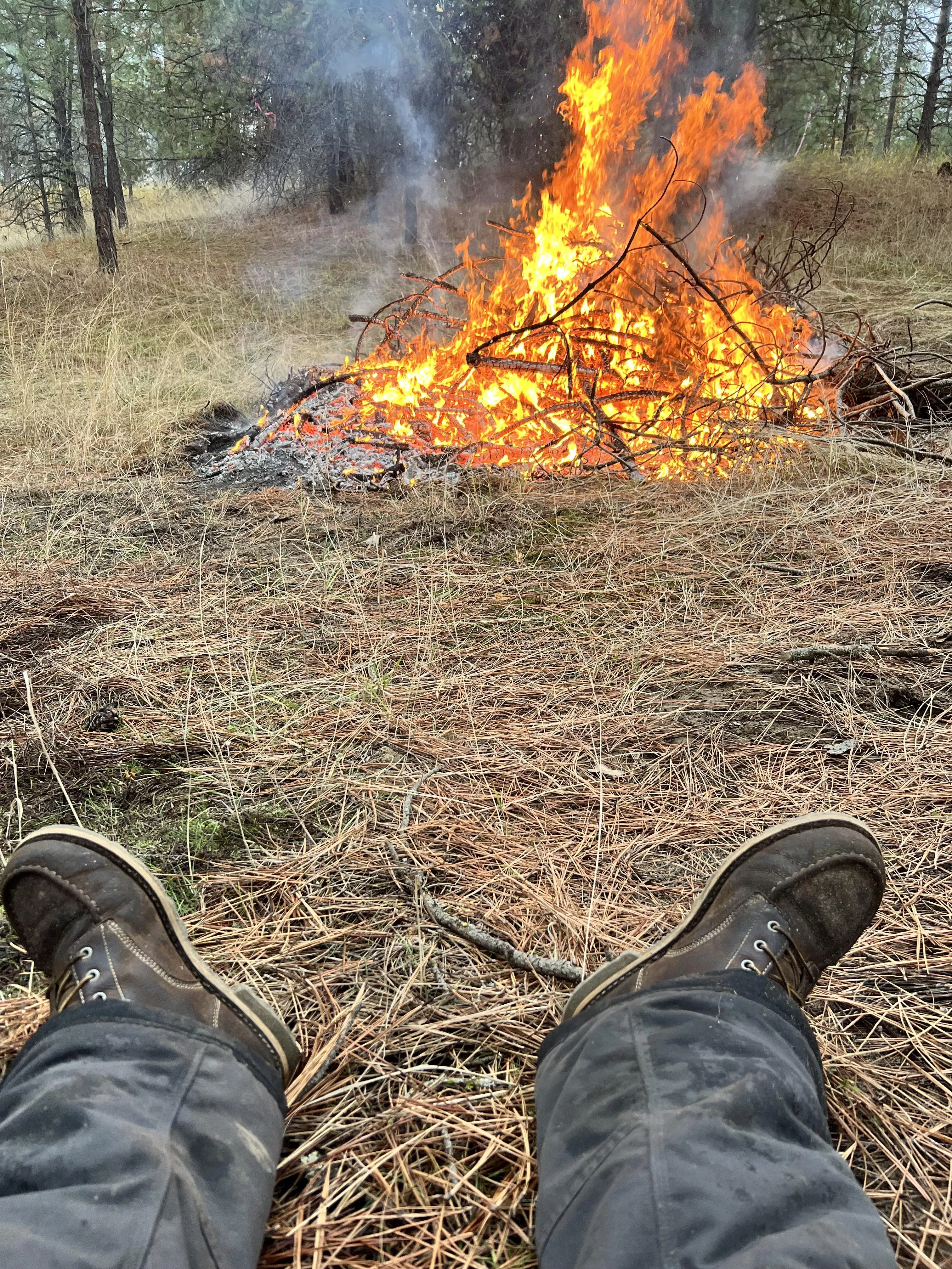 These Have Put in Work