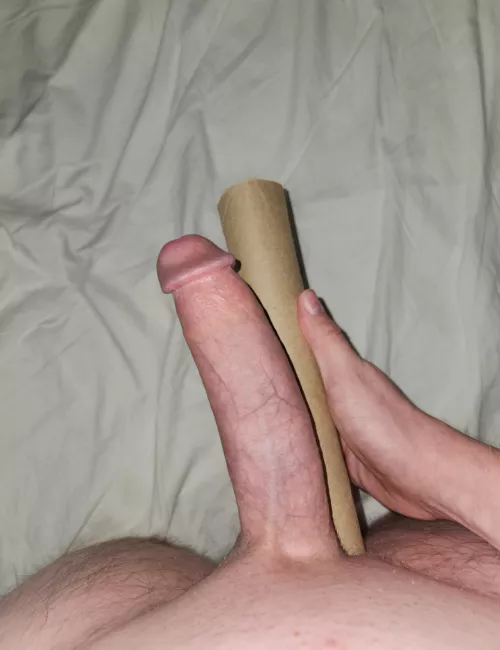 Was asked to put it next to a paper towel roll. What do you think?