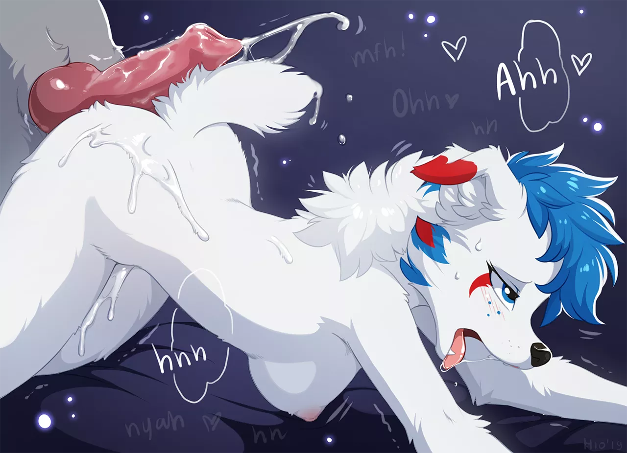 White doggo [MF] (Hioshiru)