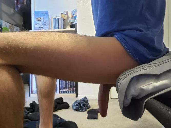 Who wants to be my pet?