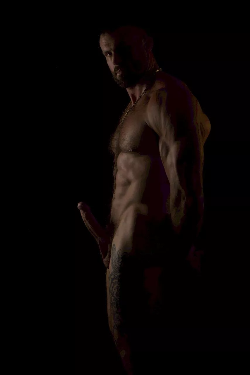 Would you let this stud breed you?