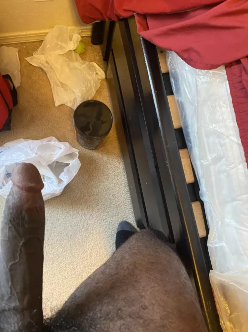 You have a choice. Being my good slut permanently or taking this dick for a hour straight. What do you choose?