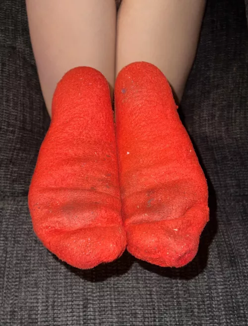 You need to sniff these