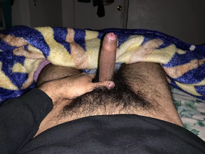 (23) wood morning guys