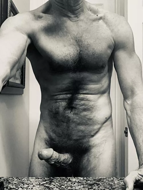 (58) Silvertone Silverback