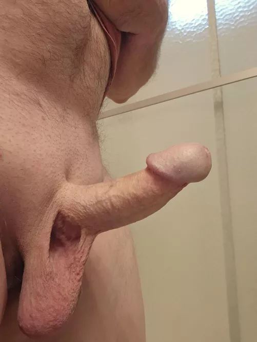 [62] nicely cut