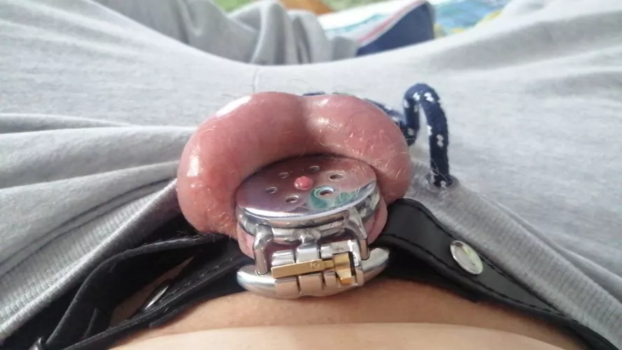 After asking if I should go smaller almost everyone told me to go smaller so here is my new flat cage!