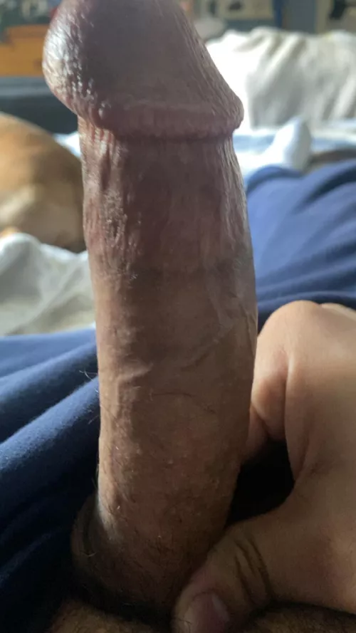 Any cucks in Bakersfield California that need their wife bred once or a few times?