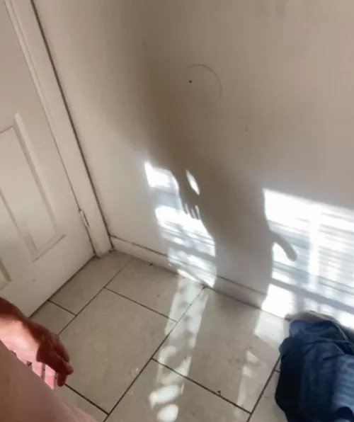 Anyone wanna compare