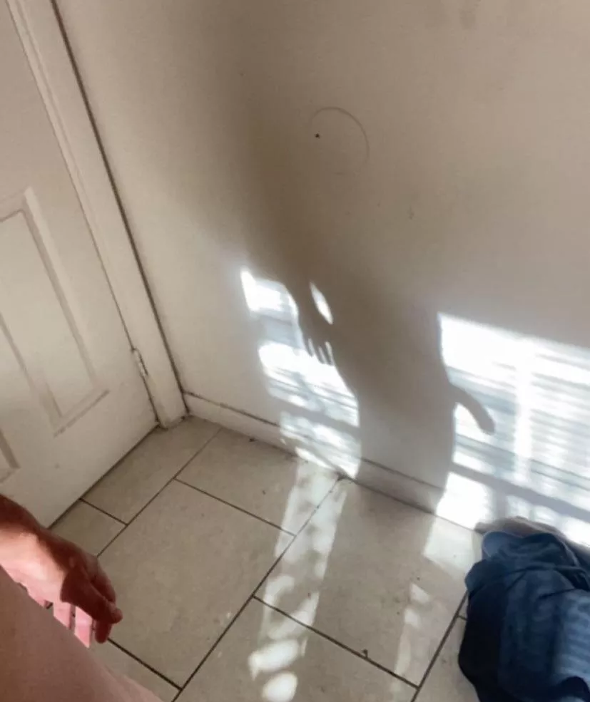 Anyone wanna compare