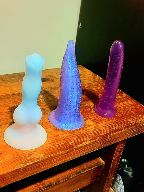 Cleared out a space to test ride. Who should I bounce on