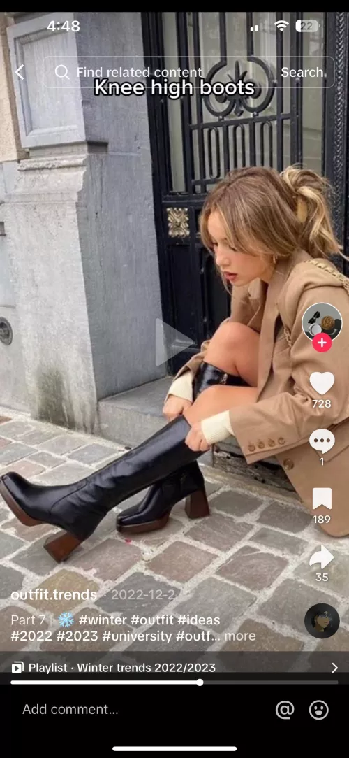 Do you know of similar knee high boots to this pic?