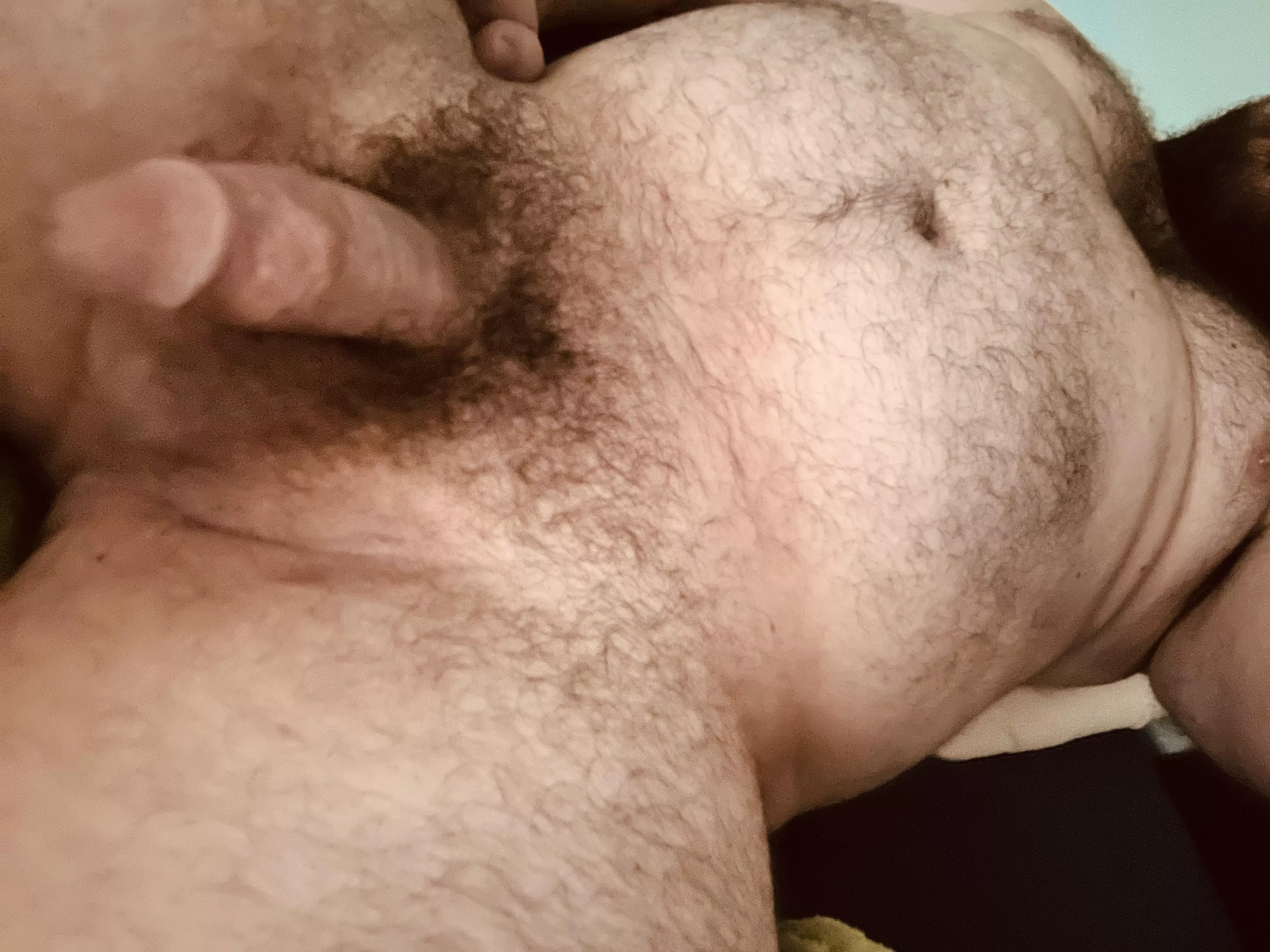 Fluffy and hairy